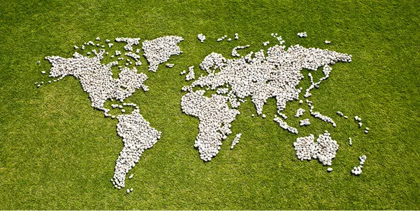 A map of the world made from maize kernels on a green lawn