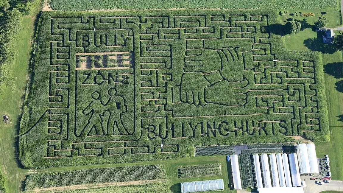 Aerial view of a corn maze cut into the shape of a handshake with the words Bully Free Zone and Bullying Hurts
